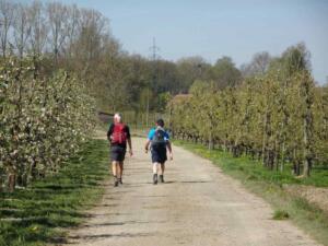 Treinstapper Alken SintTruiden 2021-04-27 10-40-33