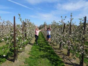 Treinstapper Alken SintTruiden 2021-04-27 11-13-45