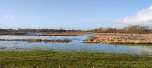 Schelde100 1 2022-01-09 10-29-16