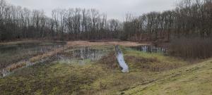 Schelde 2 2022-01-22 13-13-50