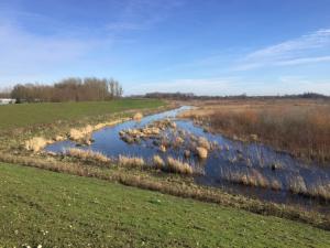 Schelde100 4 2022-02-12 11-44-24