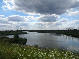 Schelde 100 5 2022-08-06 14-59-11