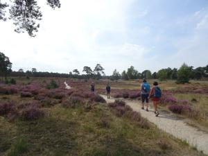 Heide 2022-08-30 13-48-19