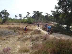 Heide 2022-08-30 14-09-09