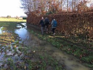 Hageland 5bis 2023-01-11 12-17-46