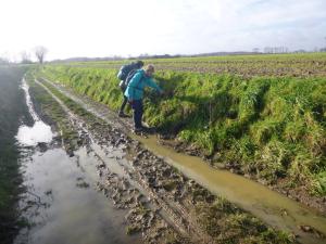 Hageland 5bis 2023-01-11 12-45-40