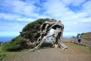 ElHierro Tenerife 2023-02-08 11-26-21