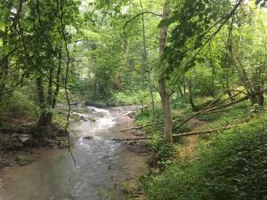 Weekje Ardennen 2022-08-19 20-13-32