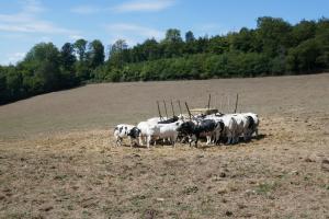 Weekje Ardennen 2022-08-22 12-06-21