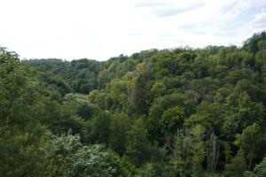 Weekje Ardennen 2022-08-22 12-51-41