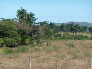 20170119 1129 Cuba P1100645 2