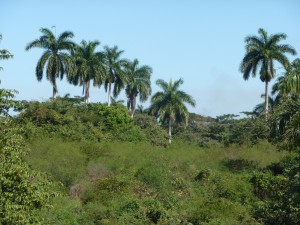 20170119 1131 Cuba P1100647 2