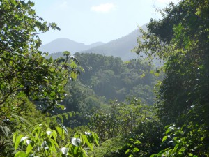 20170124 0950 Cuba P1100754 2