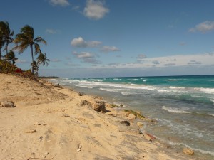 20170130 1052 Cuba P1100943 2