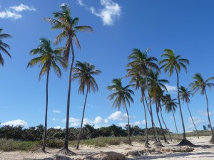 20170130 1105 Cuba P1100947 2