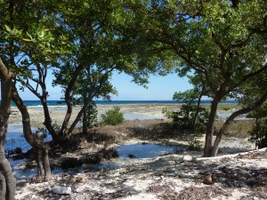 20170201 1255 Cuba P1100990 2