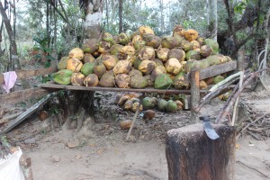 20170112 1319 Cuba IMG 0863