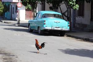 20170115 1150 Cuba IMG 1206