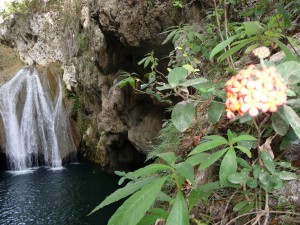 20170116 1450 Cuba P1100569 2