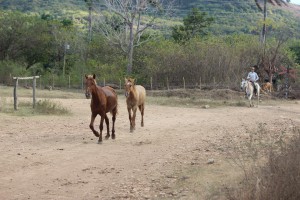 20170116 1614 Cuba IMG 1312