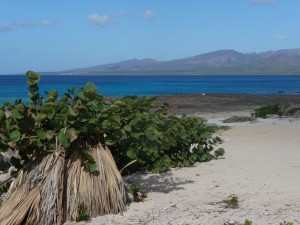 20170117 1021 Cuba P1100582 2