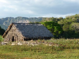 20170111 1652 Cuba P1100257 2