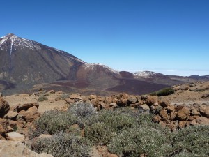 Tenerife 2015-03-28 13-44-29 P1060960