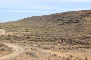 Tenerife 2015-03-30 12-32-32 IMG 8656