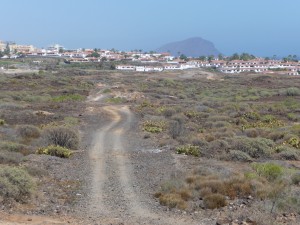 Tenerife 2015-03-30 15-38-41 P1070035