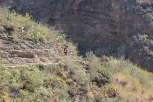 Tenerife 2015-03-31 11-05-03 IMG 8680