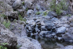 Tenerife 2015-03-31 11-40-40 IMG 8698