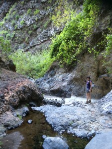 Tenerife 2015-03-31 11-49-52 IMG 1037