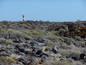 Tenerife 2015-03-31 15-36-04 P1070069