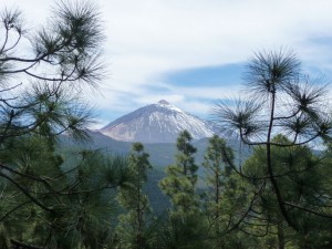 Tenerife 2015-04-01 13-53-42 P1070096