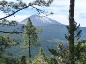 Tenerife 2015-04-01 14-21-12 P1070100