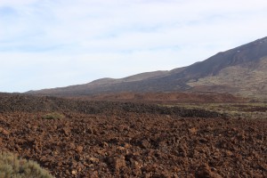 Tenerife 2015-04-02 09-34-51 IMG 8752