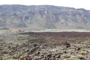 Tenerife 2015-04-02 11-07-36 IMG 8786