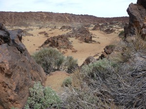 Tenerife 2015-04-02 12-38-05 P1070159