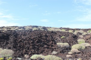 Tenerife 2015-04-02 17-18-13 IMG 8860