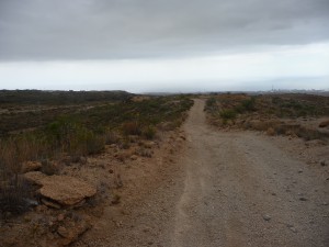 Tenerife 2015-04-04 13-14-28 P1080009