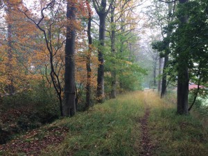 herfstwandeling3