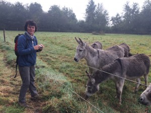 herfstwandeling7