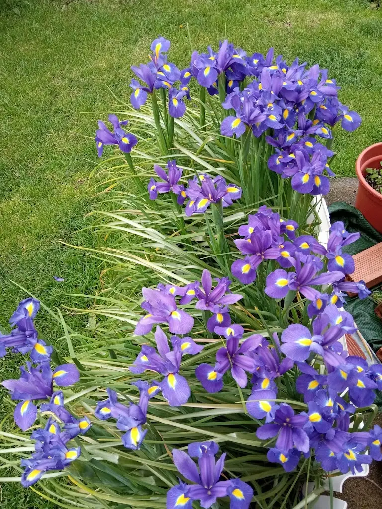 Señales de Primavera 7 1713160350975 1