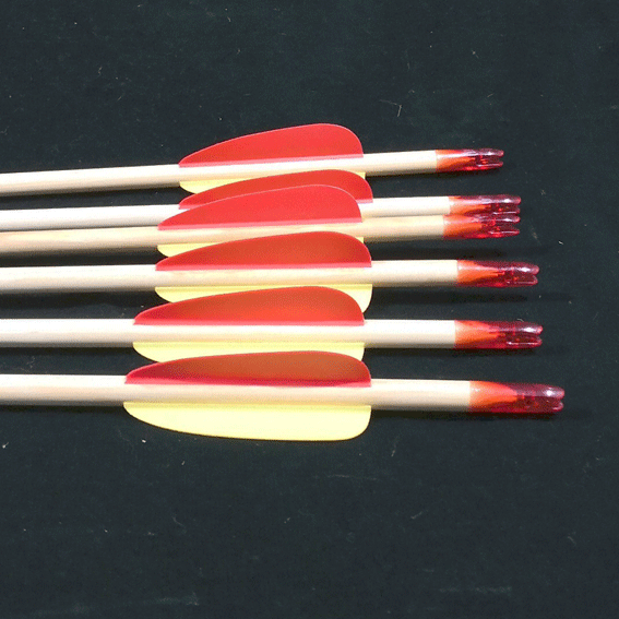 Practice Arrow Quiverstock Ltd