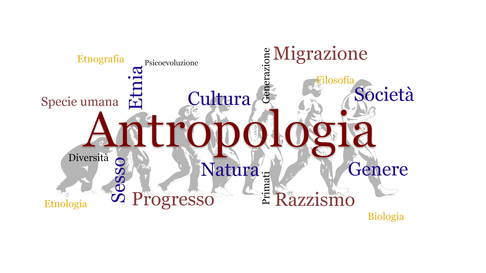 antropologia