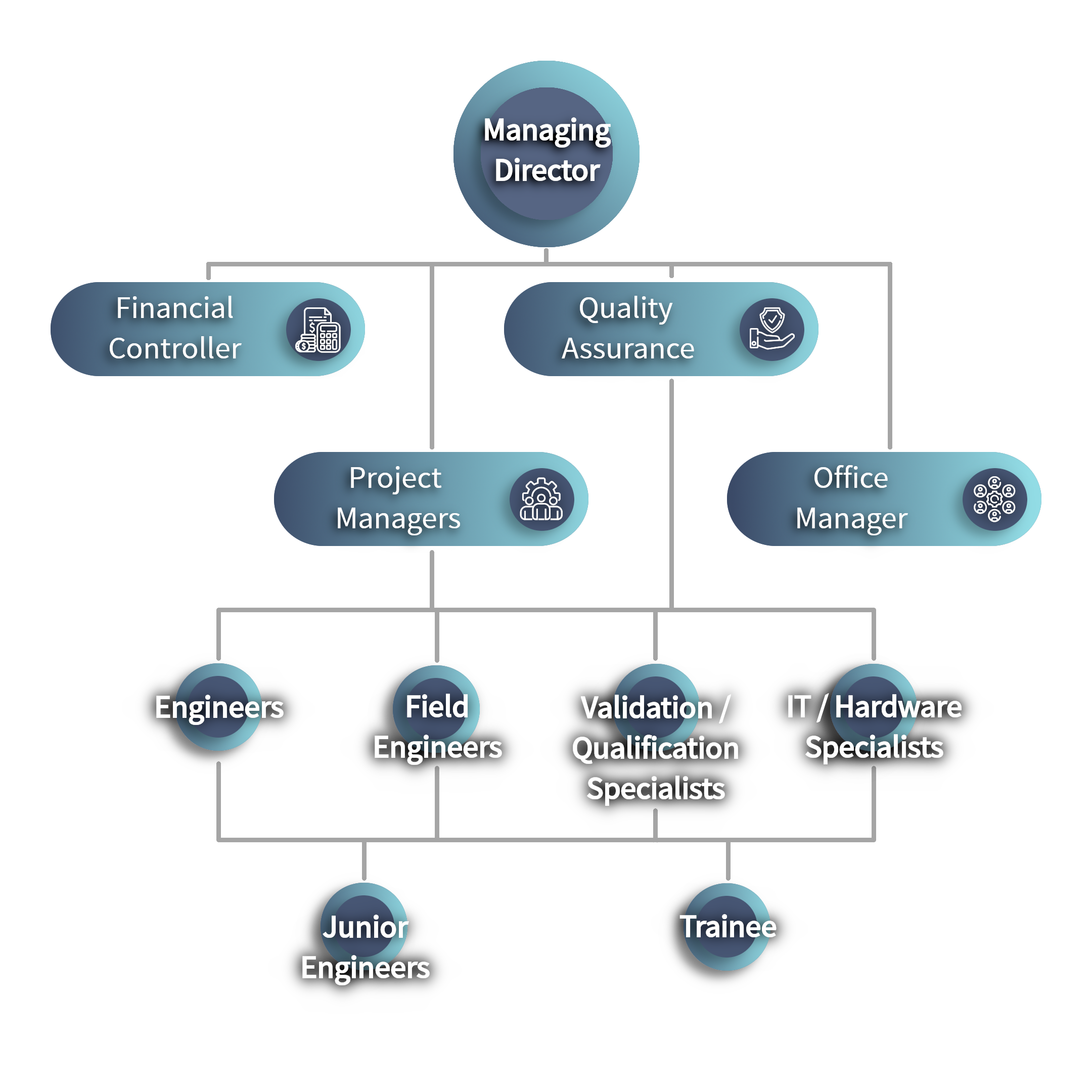 Organistatie visual v3 Organistatie visual v3
