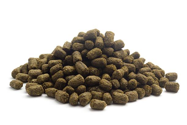 pellets for  your rabbit