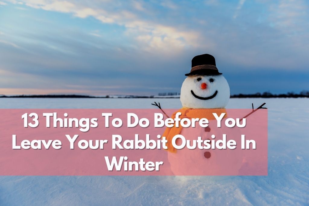 can rabbits live outside in winter