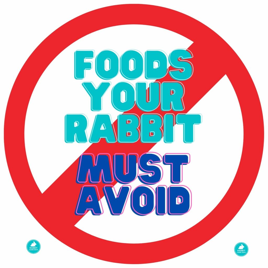 what not to feed rabbits