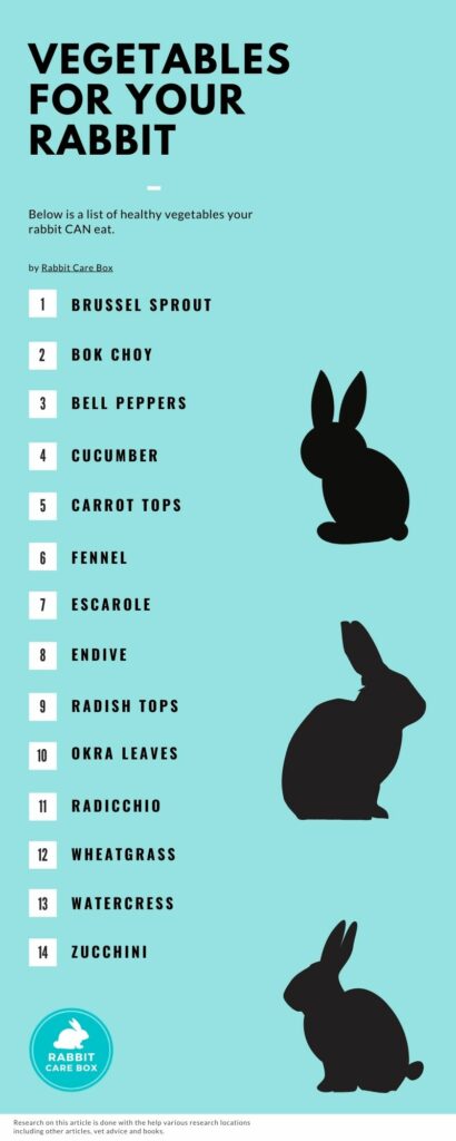 What Can Rabbits Eat The Full Free Rabbit Eating Guide